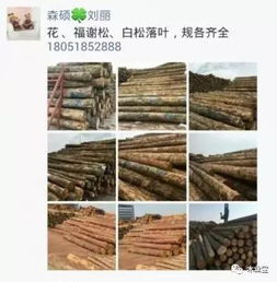 履約思源，不忘初心——2017年4月2日精品木材銷售信息發(fā)布